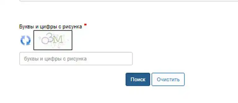 Проверочное изображение, поле для ввода символов и кнопка «Поиск» в нижней части формы.